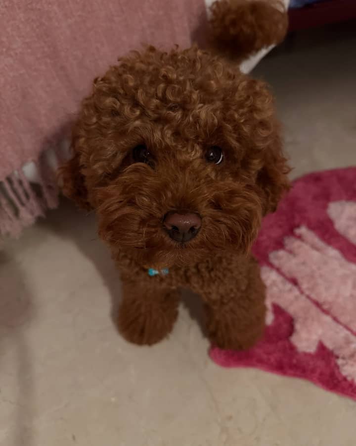 Della
