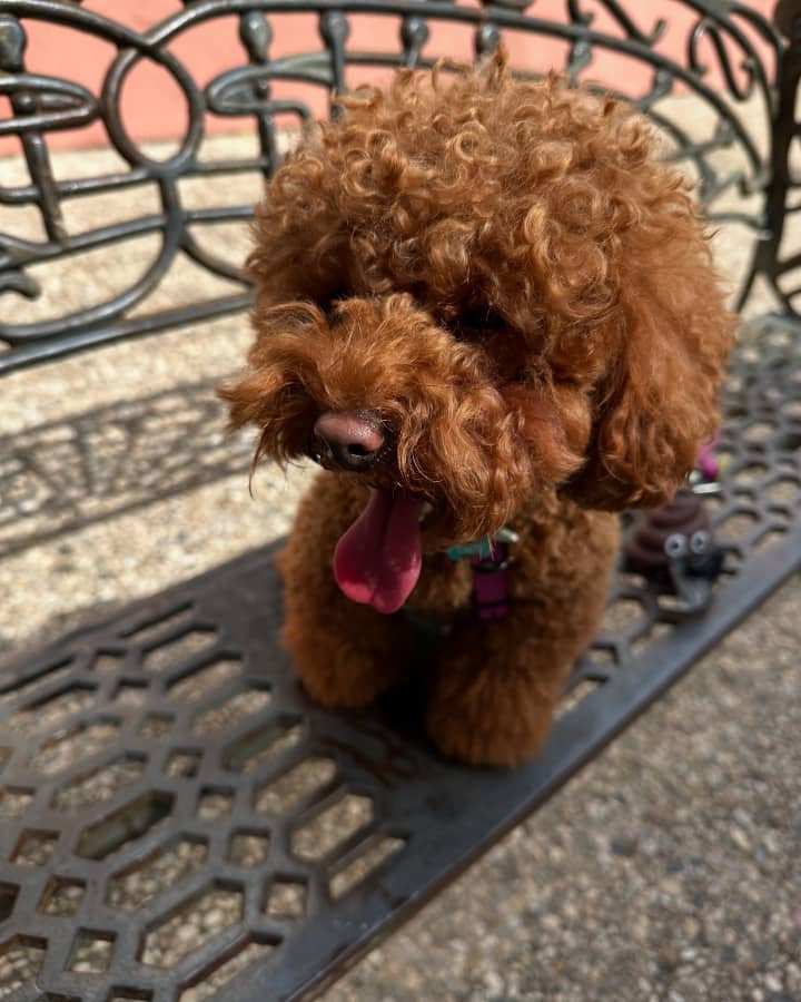 Photo of Della