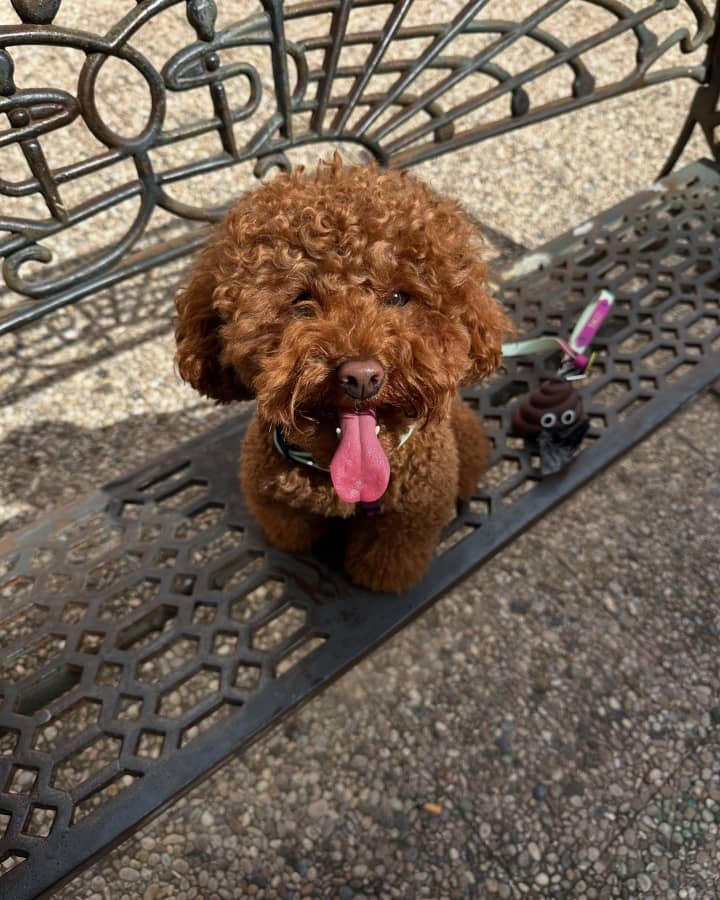 Photo of Della
