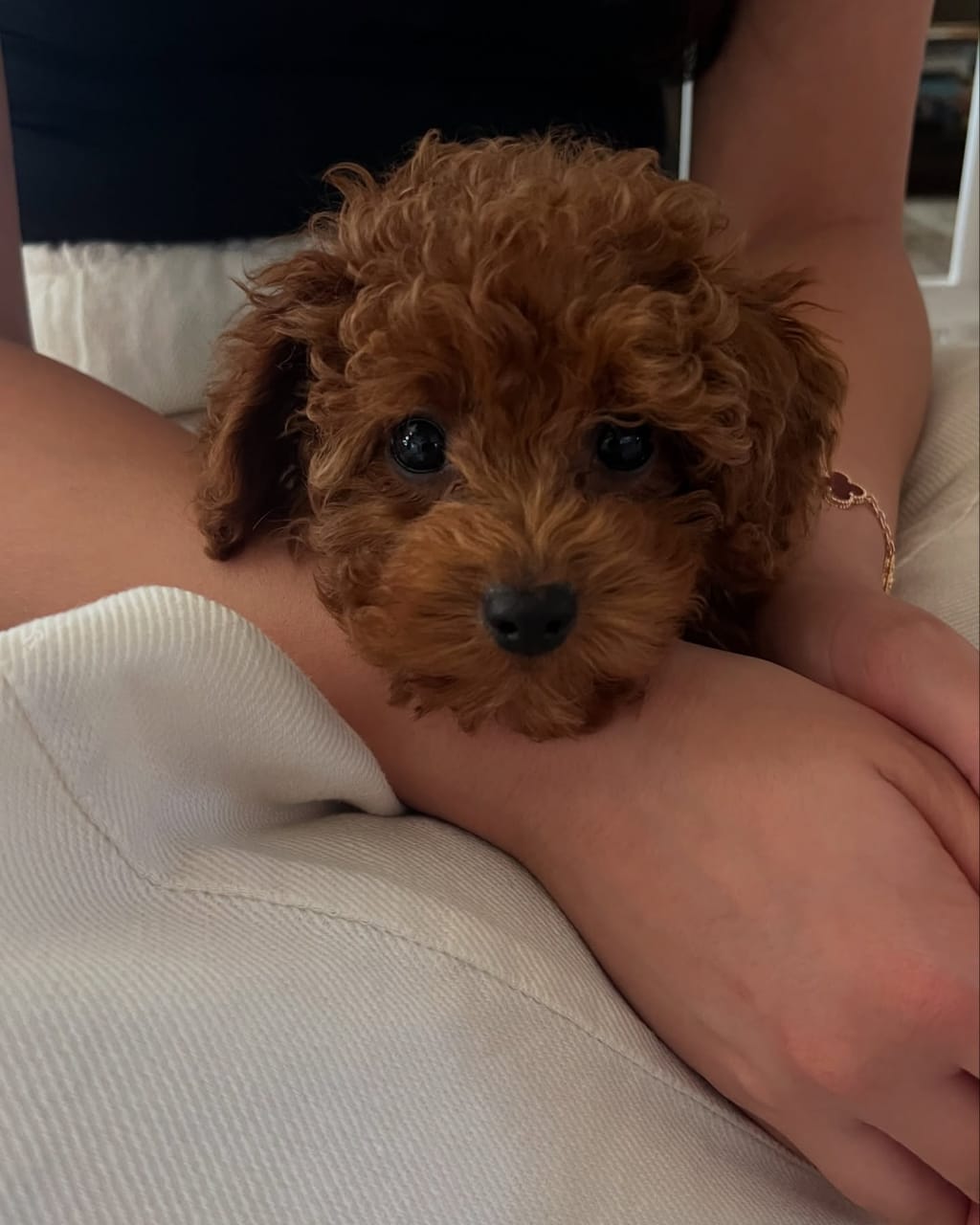 Photo of Leo