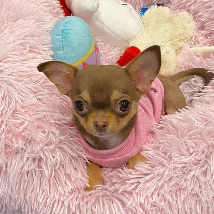 Photo of Clara