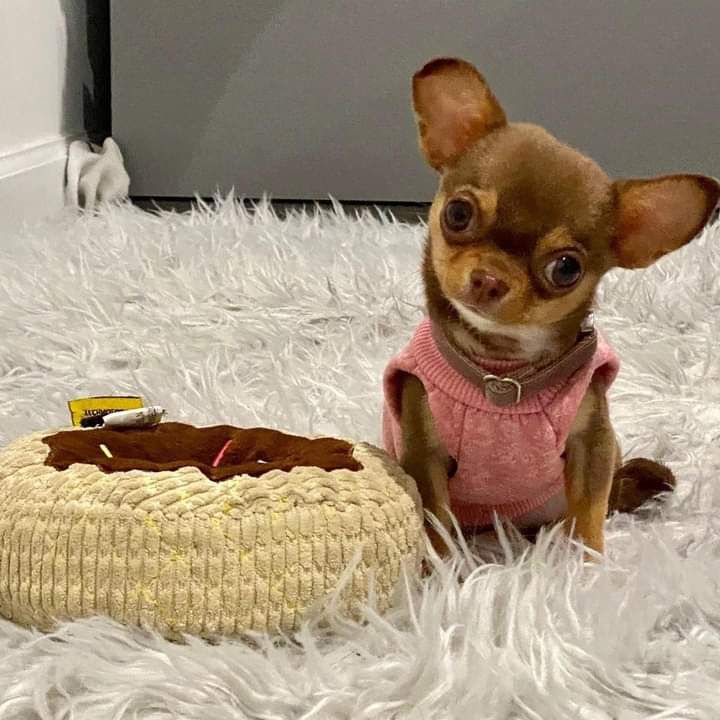 Photo of Clara