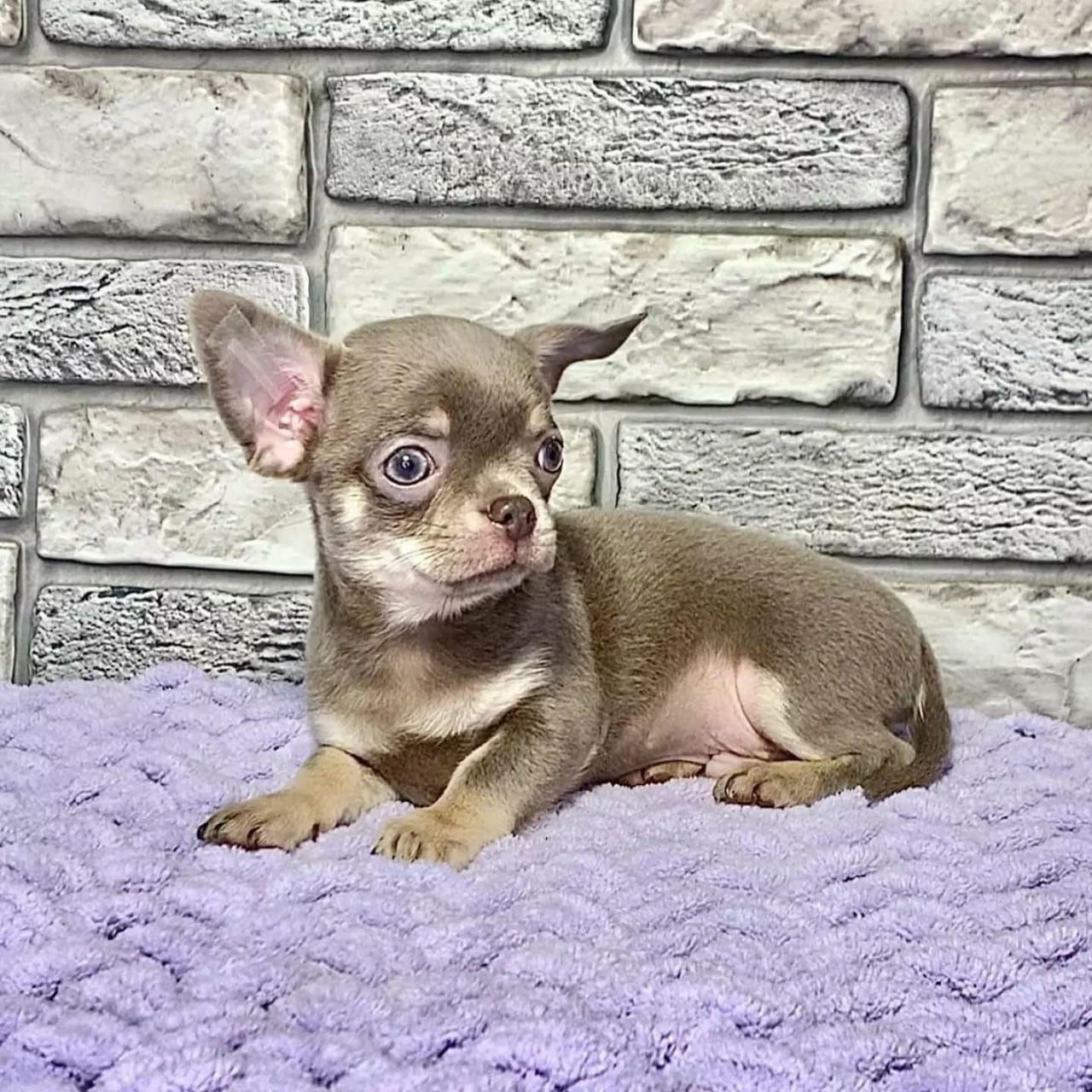 Photo of Jack
