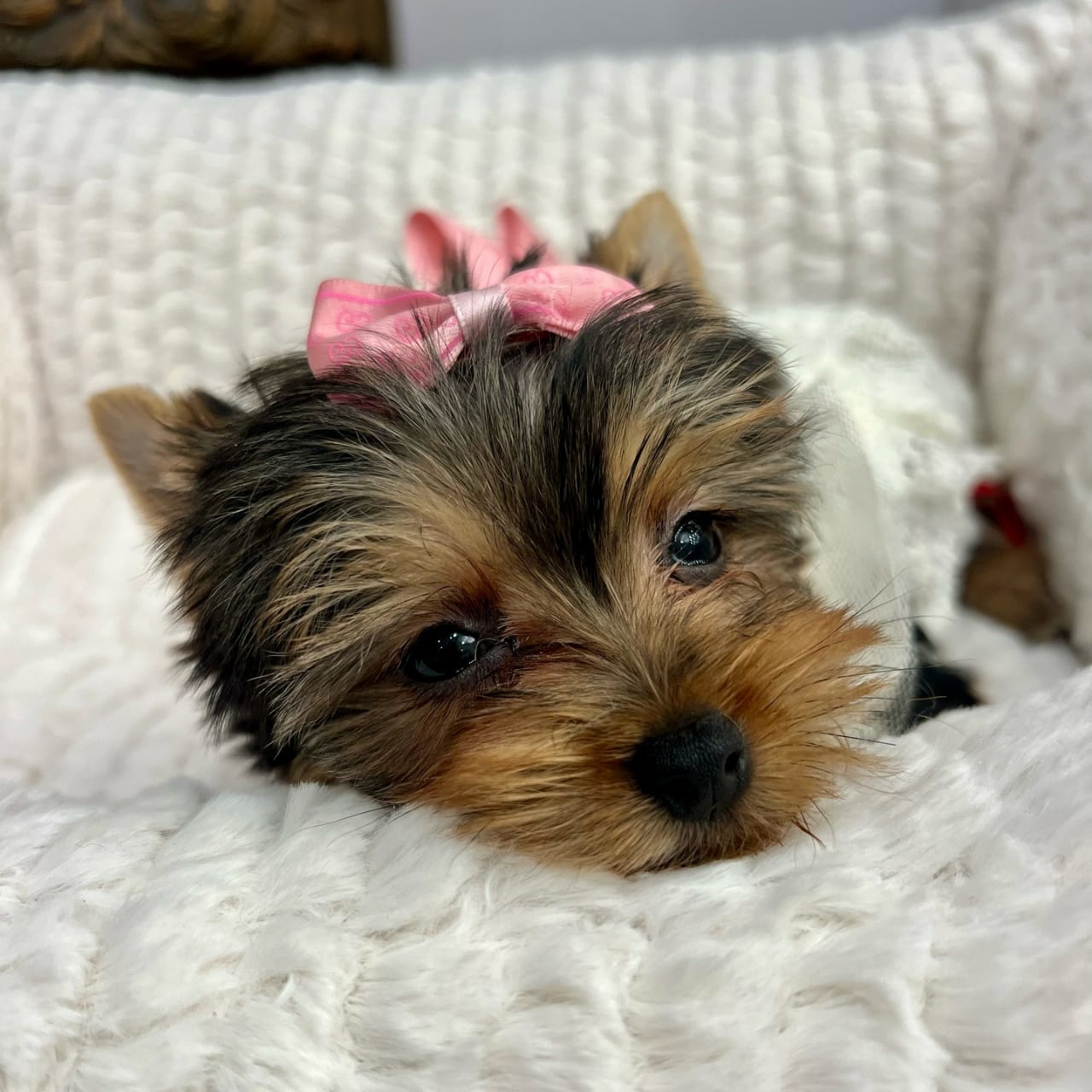 Ella