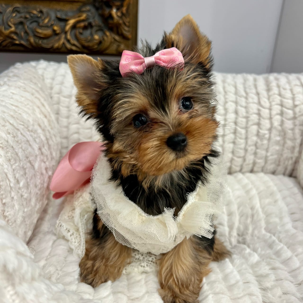 Photo of Ella